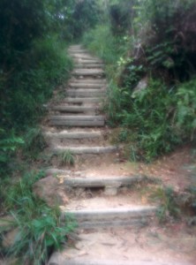 definitely does not do the gradient justice.